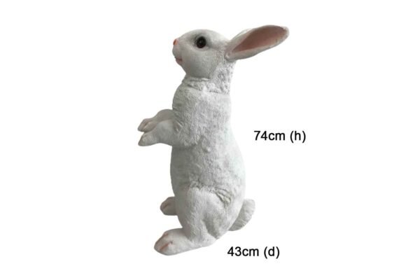 KDDD11 Rabbit – Large